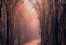 全国春季游泳锦标赛开赛 孙佳俊男子100米蝶泳摘金2025-03-19.