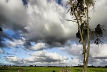 巅峰国际官网:CHINA HERE I COME!网红Speed官宣3月24日中国行.