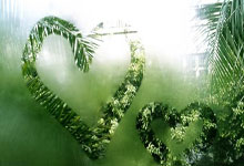 巅峰国际官网:曾凡博场均22+5打成北京最强球员,崔永熙:他有能力立足NBAG联盟.