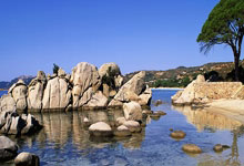 巅峰国际官网:罗纳尔多成为巴西足协主席候选人央视体育.